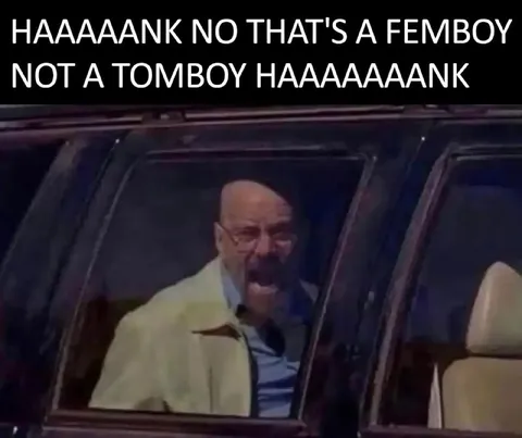 Femboy Not Tomboy Hank Reaction
