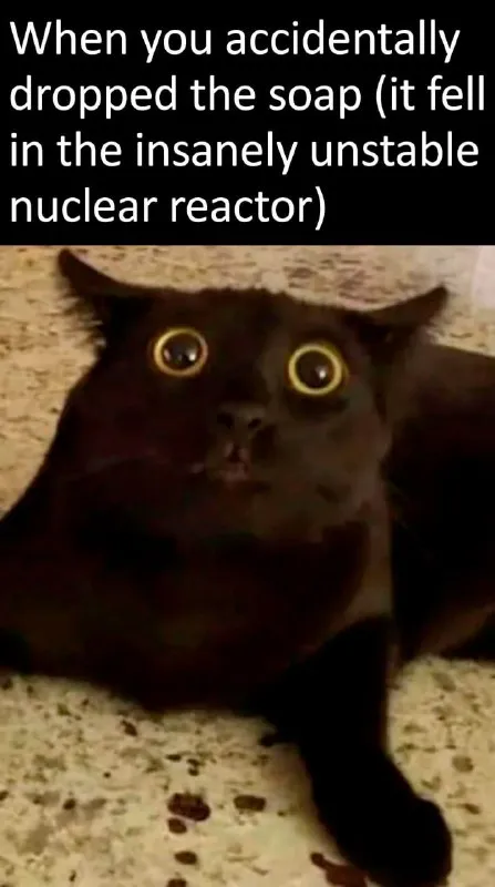 Accidentally Dropped Soap in Reactor