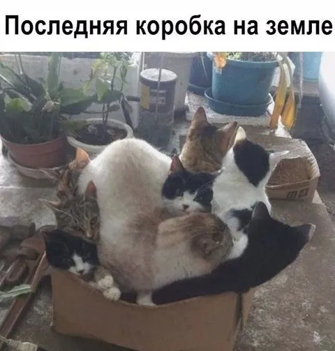 Последняя коробка на земле