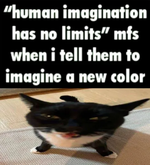 Imagine a New Color