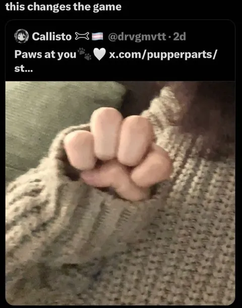 Paws at You Changes Everything