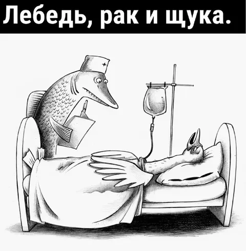 Лебедь, рак и щука в больнице