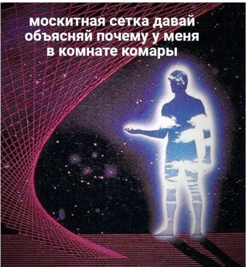 Москитная сетка и комары