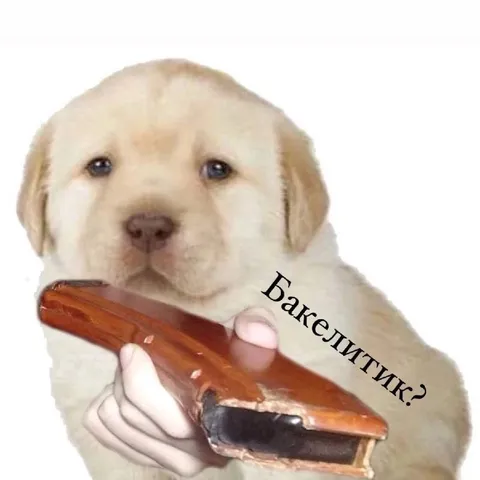 Щенок с бакелитником