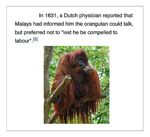 Orangutan Refuses to Talk