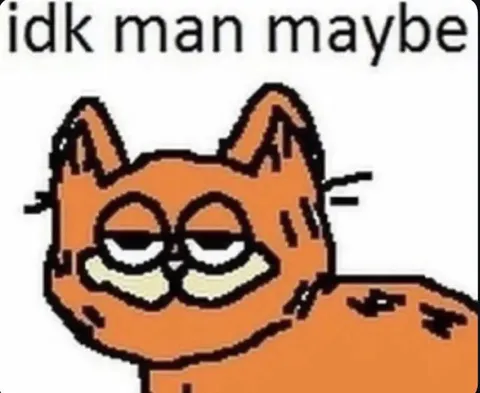 Garfield Idk Man Maybe