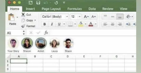 Excel Story Viewers