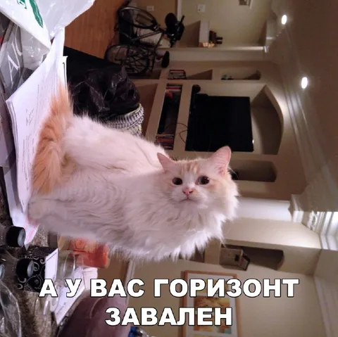 А у вас горизонт завален