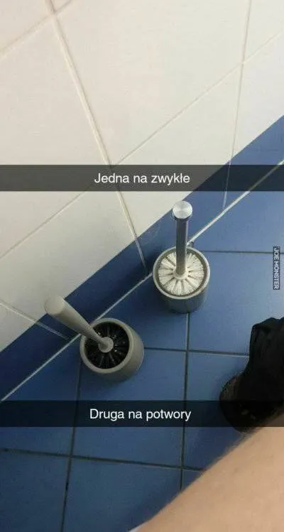 Szczotki na zwykłe i potwory