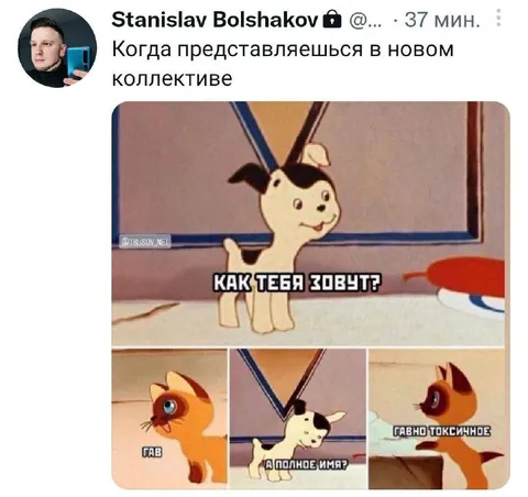 Знакомство в новом коллективе