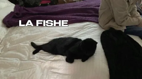 La Fishe Cat