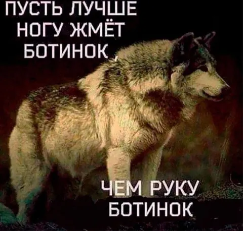 Ботинок жмёт ногу, а не руку