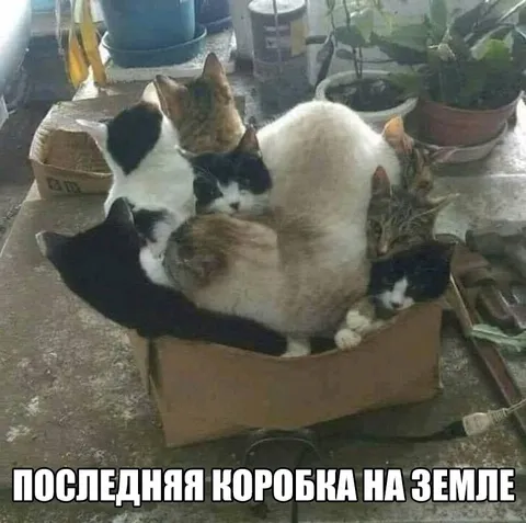 Последняя коробка на земле