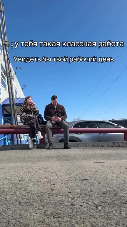 Рабочий день глазами котов и собак