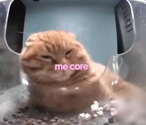 Me Core Orange Cat