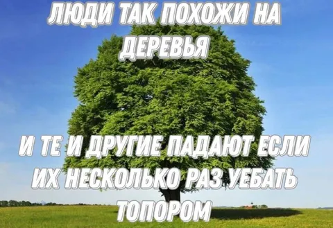 Люди похожи на деревья