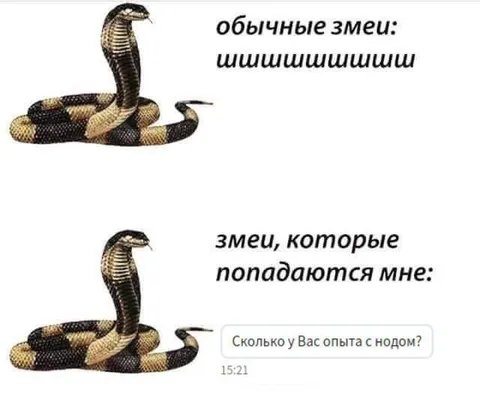 Змея спрашивает про опыт с нодом