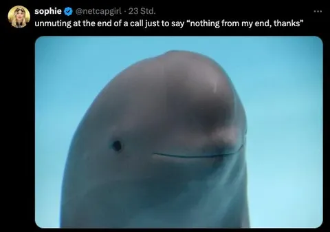 Nothing From My End Thanks