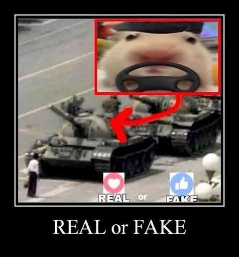 REAL or FAKE tank meme
