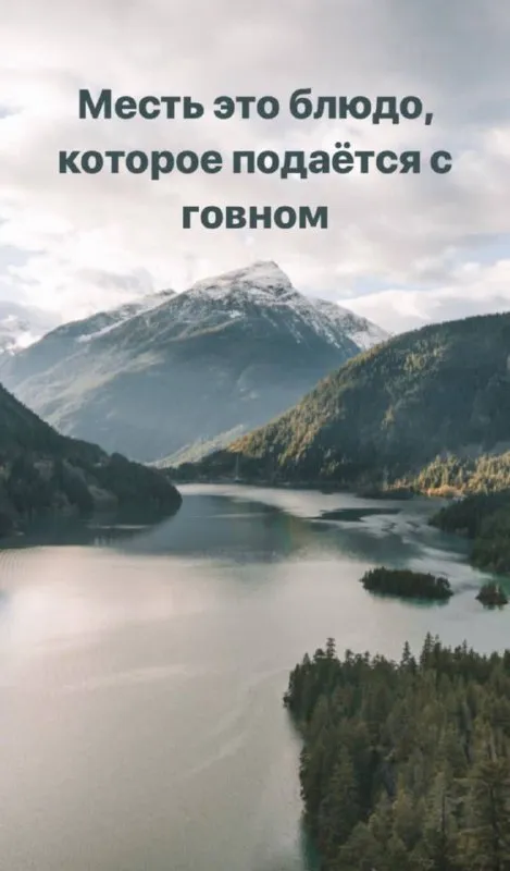 Месть подаётся с говном