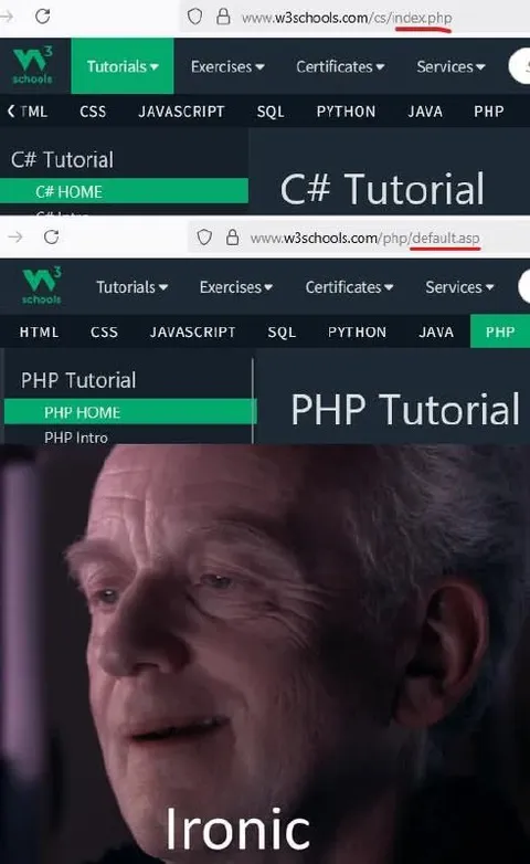 Ironic Programming Tutorial Screenshot