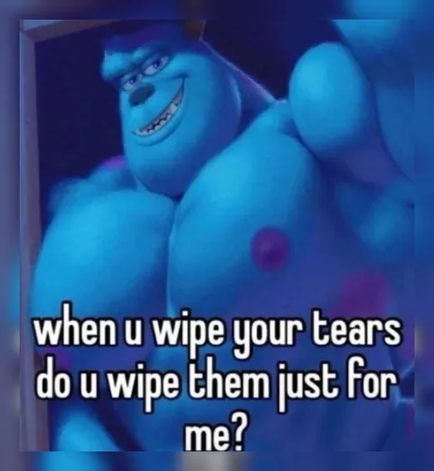 Sulley Wipes Your Tears