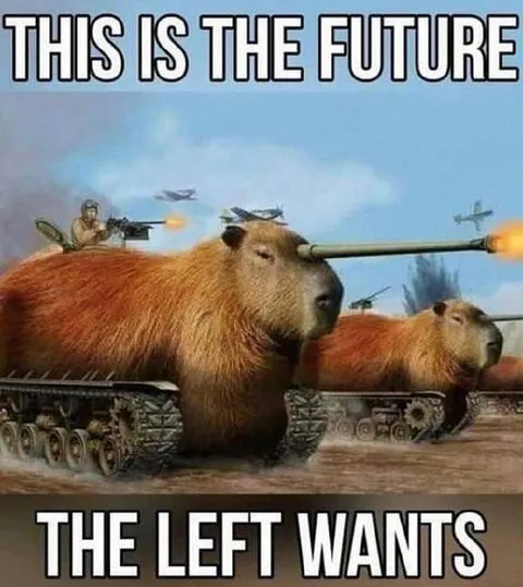 This Is the Future the Left Wants