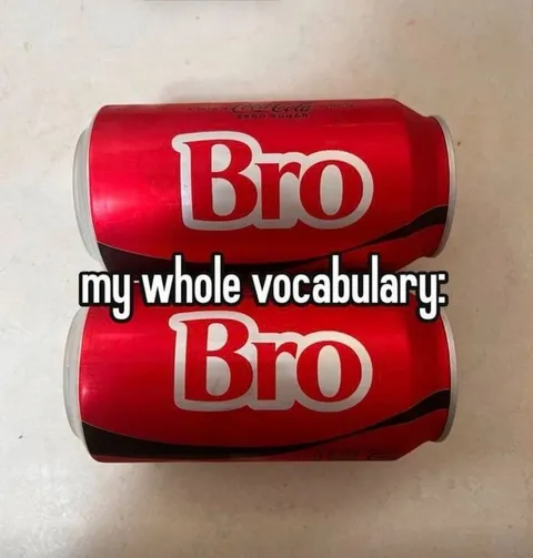My Whole Vocabulary Is Bro