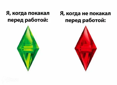 Покакал перед работой