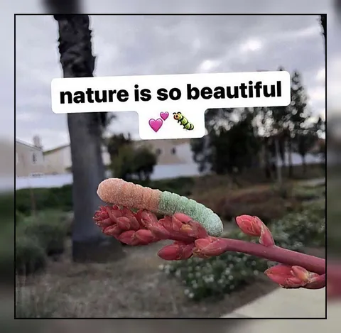 Nature Is So Beautiful