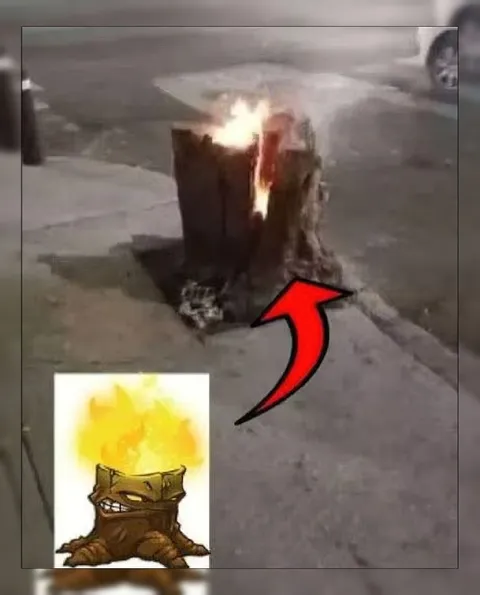 Горящий пень на улице