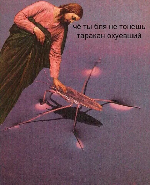 Почему таракан не тонет