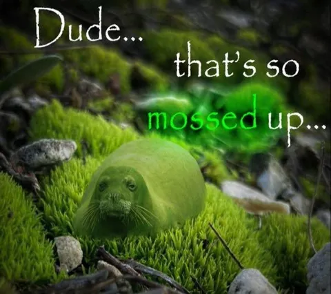 Mossed Up Seal