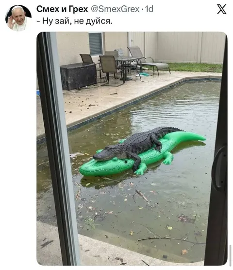 Ну зай, не дуйся