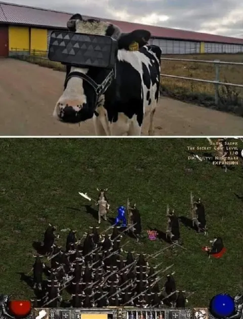 Cow Has Entered Nightmare Mode