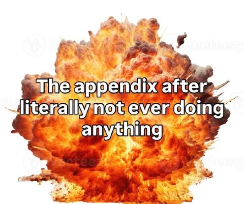 Appendix Doing Absolutely Nothing