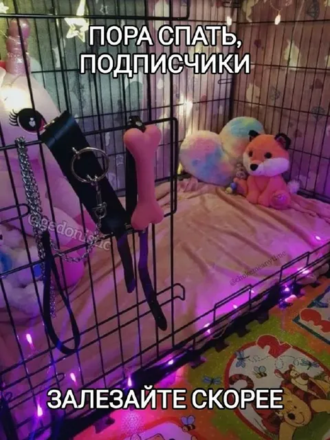 Пора спать, подписчики