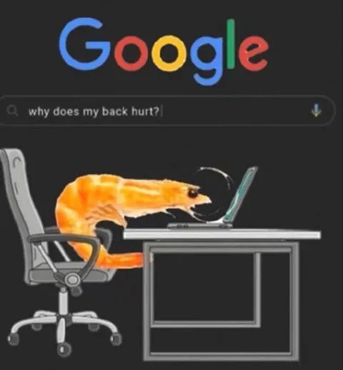 Shrimp Googles Back Pain