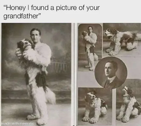Grandfather Was a Dog