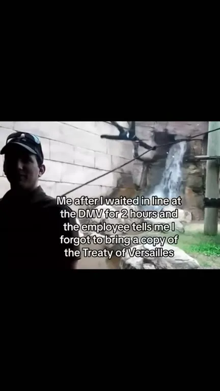 DMV Treaty of Versailles meltdown