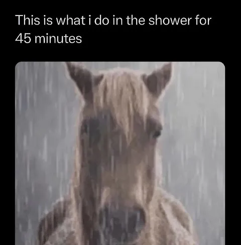 Horse Thinking in the Shower