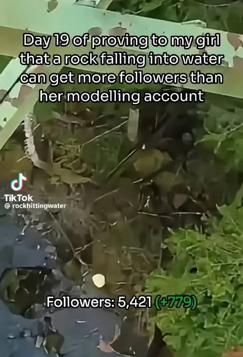 Rock Hitting Water Gets Followers
