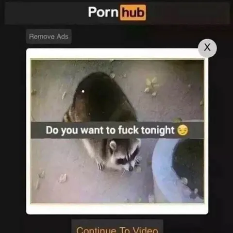 Rat Asks for Sex Tonight