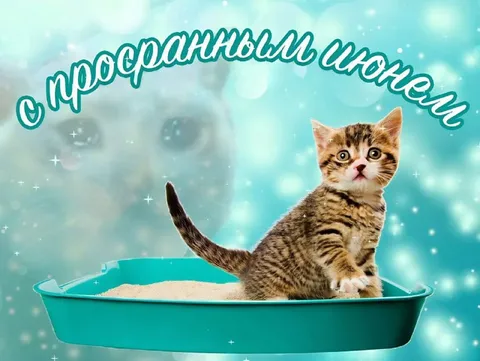 С профессиональным июнем