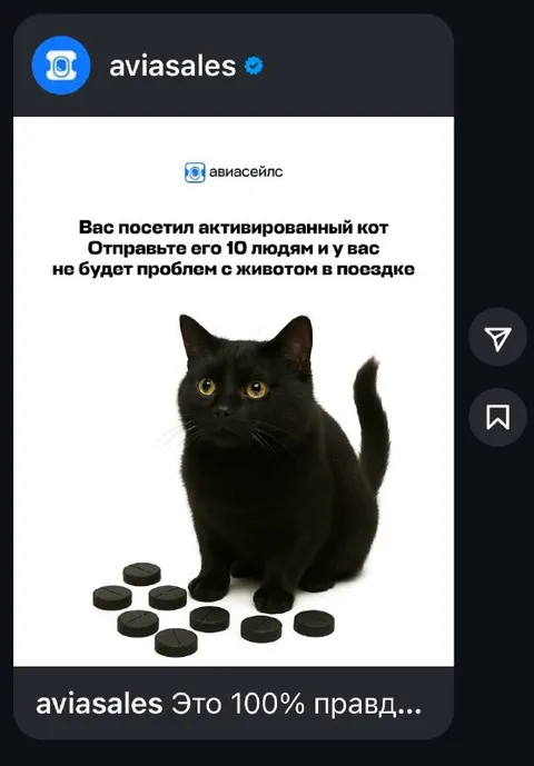 Активированный кот в поездке