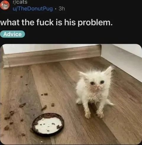 What the Fuck Is His Problem