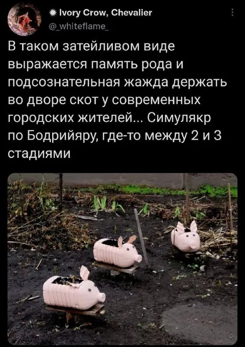 Симулякр свиней во дворе