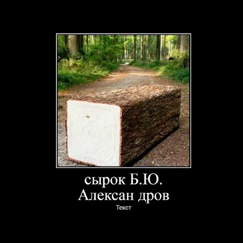 Сырок Б.Ю. Алексан дров