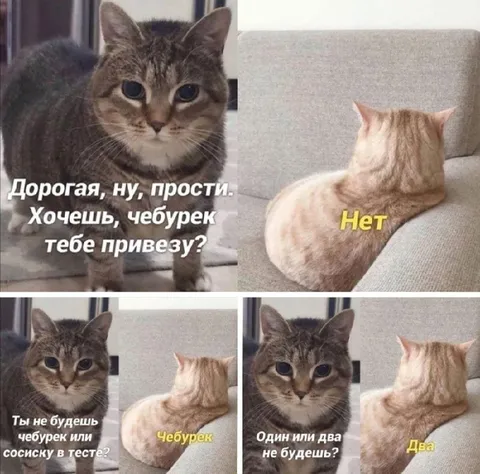 Кошка выбирает два чебурека