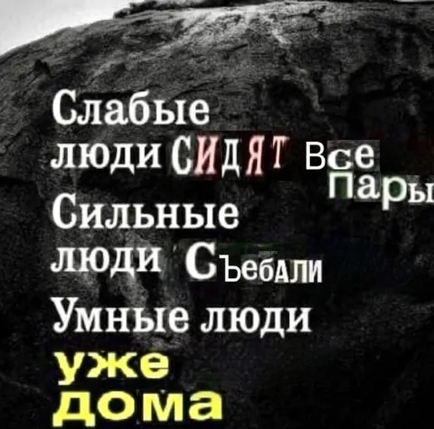 Умные люди уже дома